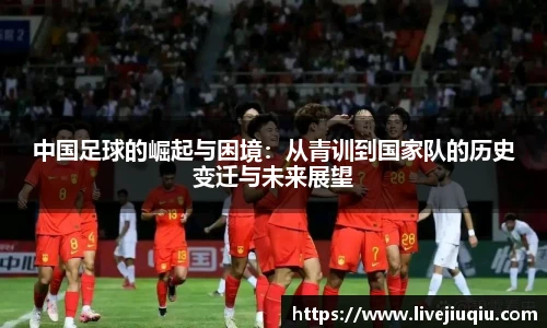 9球高清直播