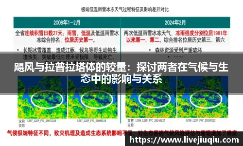 九球体育