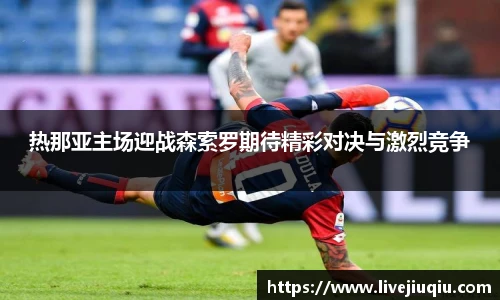 9球高清直播