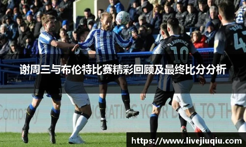 九球体育
