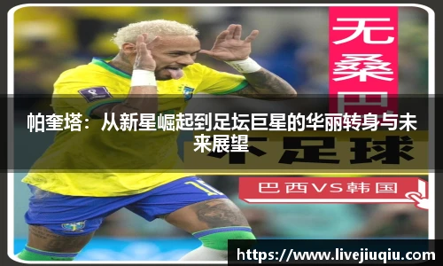 九球直播