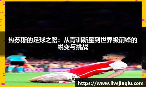 九球直播