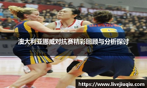 9球高清直播