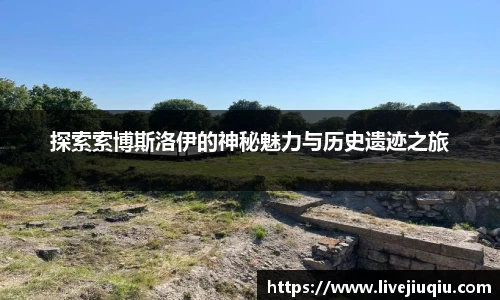 九球体育